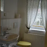 Immergrün