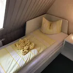 Immergrün