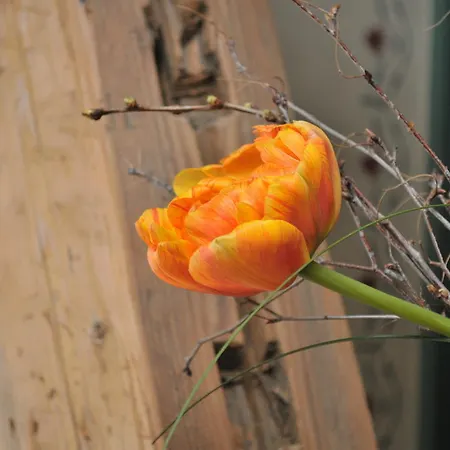 Πανσιόν Immergruen 3*