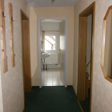 Immergruen Kurort Jonsdorf